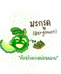 มะกรูด