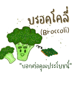 broccoli powder
