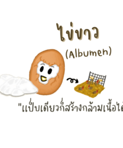 egg white powder
