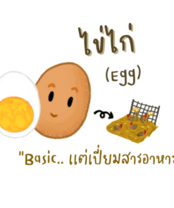 egg