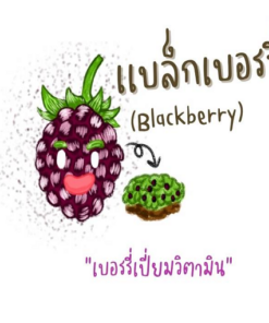 blackberry