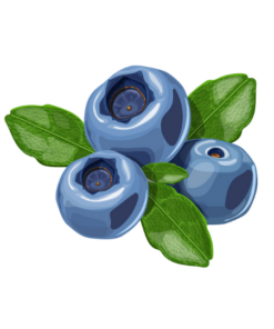 blueberry