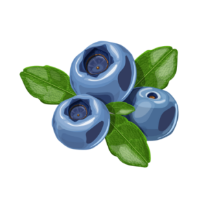 blueberry