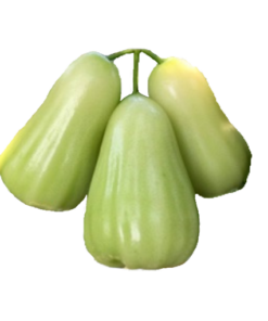ชมพู่