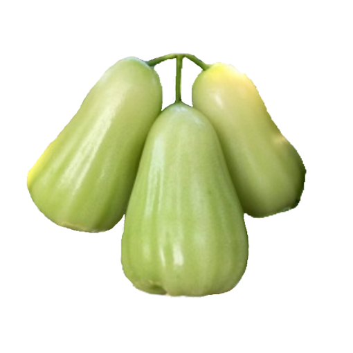 ชมพู่
