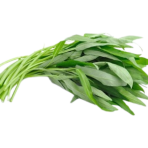 ผักบุ้ง