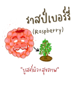 raspberry